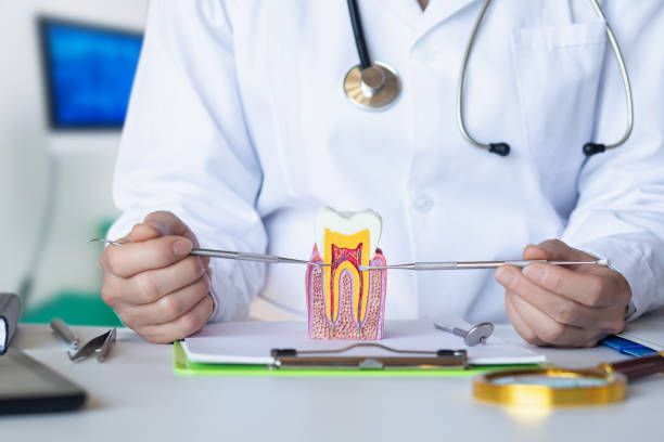 Best Emergency Gum Treatment in Jonesborough, TN